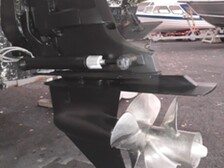 Marino 8000