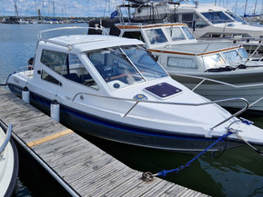 Silver Star Cabin 650