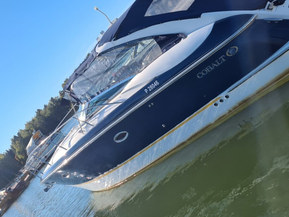 Cobalt 360 Performance Cruiser