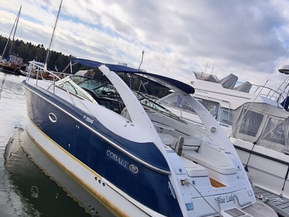 Cobalt 360 Performance Cruiser