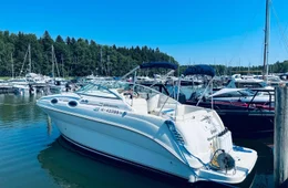 Sea Ray 240 Sundancer