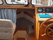 Albatross 