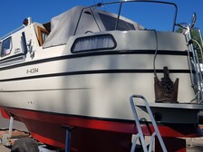 Albatross 