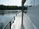 Sargo 31