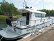 Sargo 31