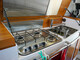 Sargo 31