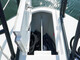 Sargo 31