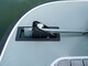 Sargo 31