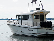 Sargo 31