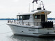 Sargo 31