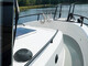 Sargo 31