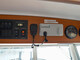 Sargo 31