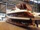 Princess V50