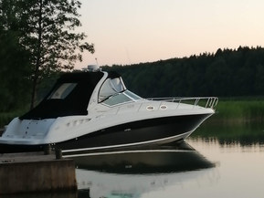 Sea Ray 375 Sundancer