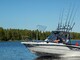 Suvi 47 Duo Fisher