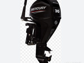 Mercury F30 ELPT EFI
