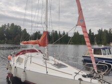 Scampi 