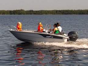 Suvi 44