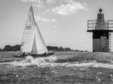 Mahonkivene Muu malli