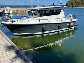 Sargo 28