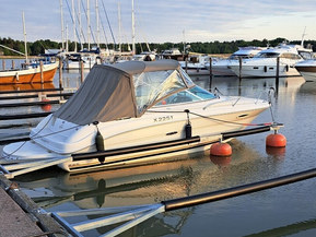 Sea Ray 225 Weekender