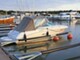Sea Ray 225 Weekender