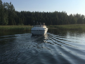 Omavalmiste Muu malli