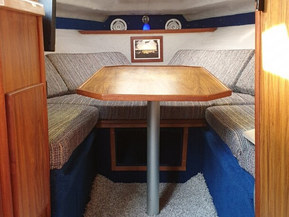 Sea Ray 21 Mid Cabin