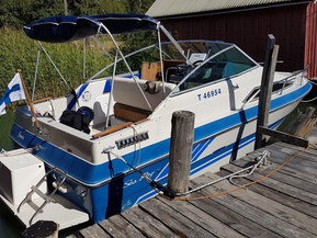 Sea Ray 21 Mid Cabin