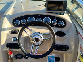 Sea Ray 215 Weekender