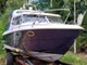 Bella Falcon 26
