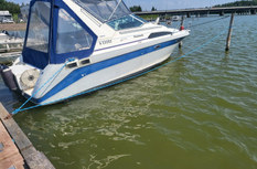 Bayliner
