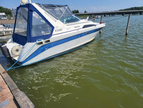 Bayliner 