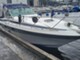 Chris-Craft 284