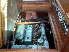 Albatross 