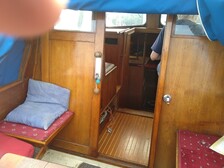 Albatross 