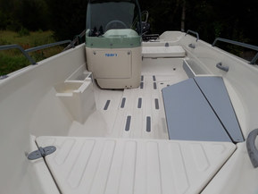 Terhi Nordic 6020 C