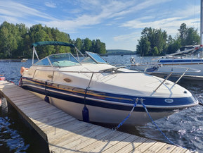 Sea Ray 240 Sundancer