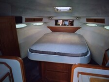 Sea Ray 
