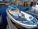 Fishmaster 810