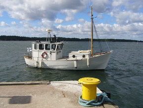 Muu merkki Muu malli