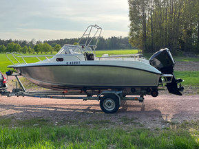 Silver Shark WA