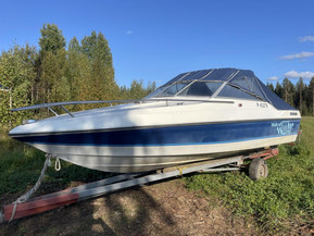 Wellcraft 192 Classic