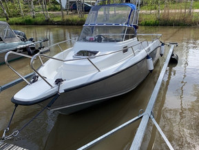 Silver Shark WA