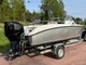 Silver Shark WA
