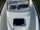 Silver Shark WA