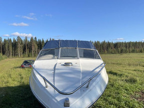 Wellcraft 192 Classic