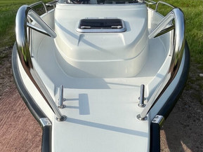 Silver Shark WA