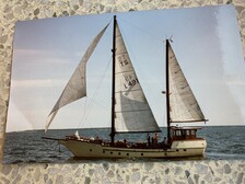 Finn Muu malli