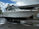 Sea Ray 290 Sundancer 290 315